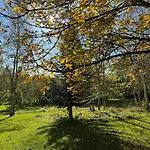 Architectural On 7000 Sqm Nature Plot 度假居 Hadsund