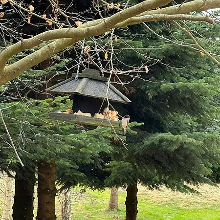 Architectural On 7000 Sqm Nature Plot 別荘 *