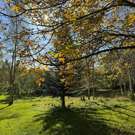 Architectural On 7000 Sqm Nature Plot 別荘 Hadsund
