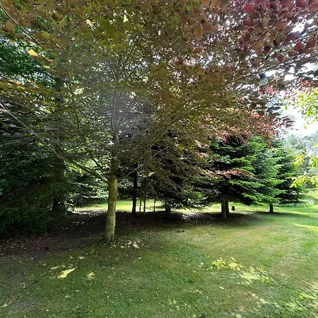 Architectural On 7000 Sqm Nature Plot 別荘